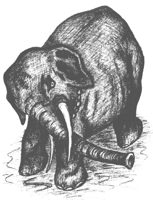 Kể từ khi được tuyển dụng, Eldridge dùng gậy có móc sắt ở đầu huấn luyện con voi Mary.