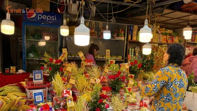 Người Hà Nội đổ về Phủ Tây Hồ ngày Rằm tháng Giêng 