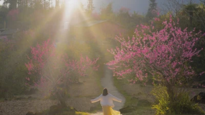 Tùng Vài - điểm đến lý tưởng mùa hoa đào miền núi Đông Bắc