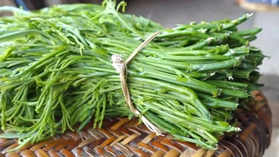 Top 4 loại rau đặc sản mùa ở Việt Nam có giá triệu đồng/kg