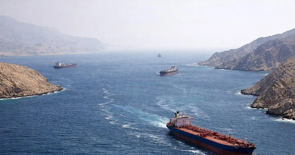 vietnamdaily.kienthuc.net.vn