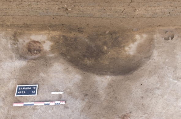 Việc phân tích các vật liệu hữu cơ được tìm thấy có thể làm sáng tỏ hơn về lịch sử của những cộng đồng đầu tiên định cư ở vùng châu thổ và nguồn gốc của nông nghiệp ở Ai Cập. Ảnh: @Bộ Cổ Vật Ai Cập.