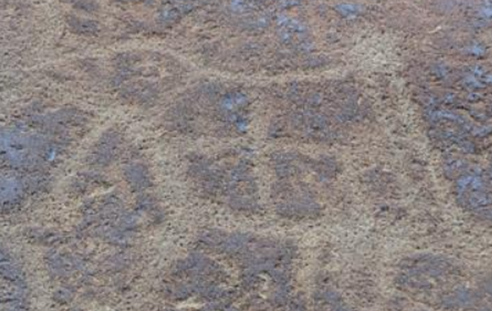 Ông Wei Jian, phó giám đốc Hiệp hội Nghệ thuật Khắc đá Trung Quốc cho biết, bức tranh khắc đá được tạo ra trong một khoảng thời gian rất dài, có niên đại khoảng 2.000 năm. Ảnh: @Hiệp Hội Nghệ Thuật Khắc Đá Trung Quốc.