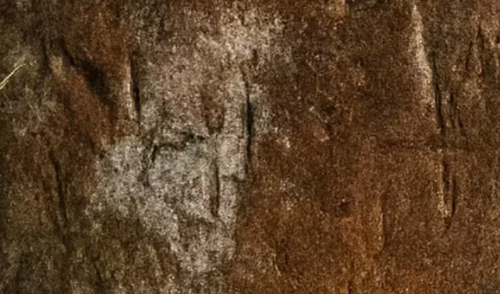 Theo các chuyên gia, những dấu hiệu này giống với các hình khắc trên đá có niên đại 2.000 năm được các kiểm lâm xác định vào tháng 8 năm 2025 tại Hang Ta Kueng, cũng nằm trong Khu bảo tồn động vật hoang dã Phu Khat. Ảnh: @Khu bảo tồn động vật hoang dã Phu Khat.