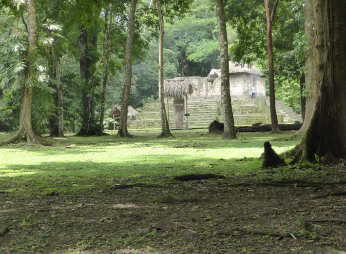 Nhiều di tích khảo cổ có niên đại từ thời kỳ này đã bị chôn vùi dưới lòng đất bởi những người Maya sau này, hoặc các công trình hiện đại. Ảnh: @Đại học Ibaraki.
