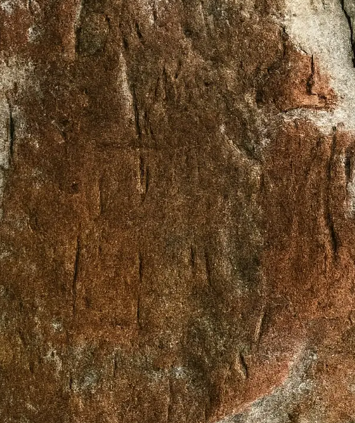 Họ đặt tên cho di tích này là Pha Pang Puey. Ảnh: @Khu bảo tồn động vật hoang dã Phu Khat.