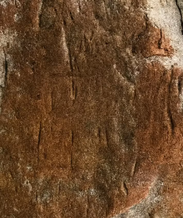 Họ đặt tên cho di tích này là Pha Pang Puey. Ảnh: @Khu bảo tồn động vật hoang dã Phu Khat.