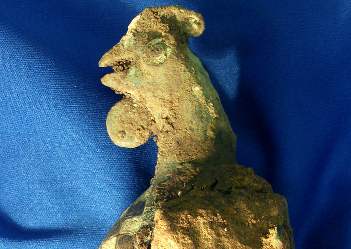 Neil Holbrook, Giám đốc Điều hành của Cotswold Archaeology, nhận xét: “Về lý do tại sao con gà trống được chôn cùng đứa trẻ, có lẽ đó là lễ vật dâng lên Mercury, sứ giả của các vị thần và là người đưa đón linh hồn người mới chết sang thế giới bên kia. Gà trống là một trong những biểu tượng của vị thần Mercury này”. Ảnh: @Cotswold Archaeology.