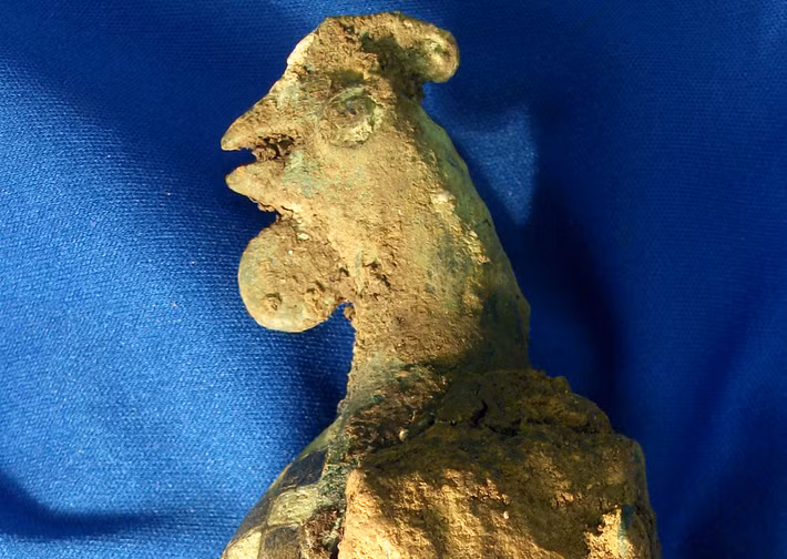 Neil Holbrook, Giám đốc Điều hành của Cotswold Archaeology, nhận xét: “Về lý do tại sao con gà trống được chôn cùng đứa trẻ, có lẽ đó là lễ vật dâng lên Mercury, sứ giả của các vị thần và là người đưa đón linh hồn người mới chết sang thế giới bên kia. Gà trống là một trong những biểu tượng của vị thần Mercury này”. Ảnh: @Cotswold Archaeology.