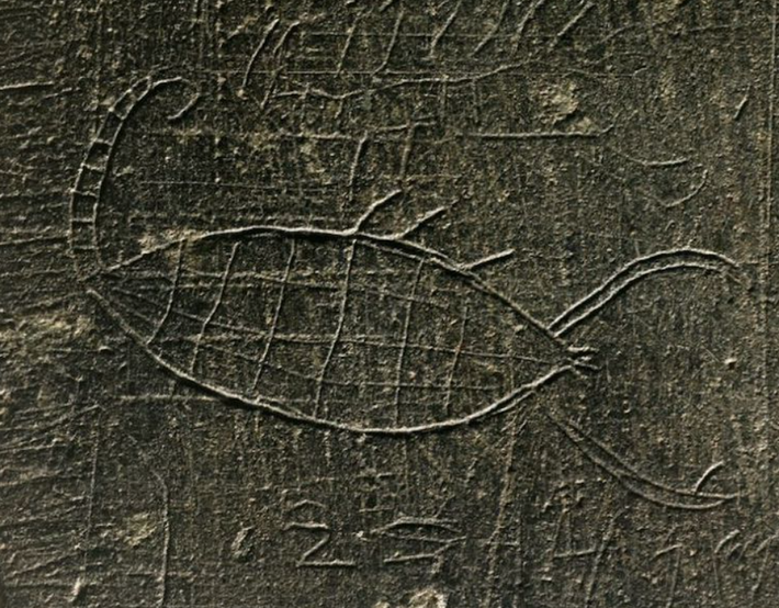 Chúng bao gồm hình khắc bọ cạp, rết và các dòng chữ Aram. Ảnh: @Cơ Quan Cổ Vật Thổ Nhĩ Kỳ.