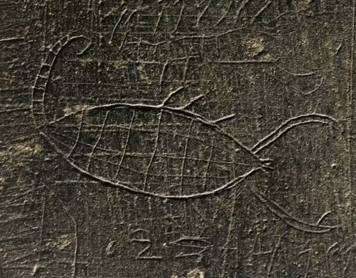 Chúng bao gồm hình khắc bọ cạp, rết và các dòng chữ Aram. Ảnh: @Cơ Quan Cổ Vật Thổ Nhĩ Kỳ.