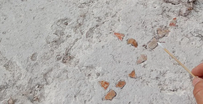 Bàn cờ này có kích thước khoảng 80 x 110 cm, với gần 478 mảnh ghép được sắp xếp thành khoảng 45 ô vuông. Ảnh: @Trung tâm Nghiên cứu Khoa học Quốc gia Pháp.