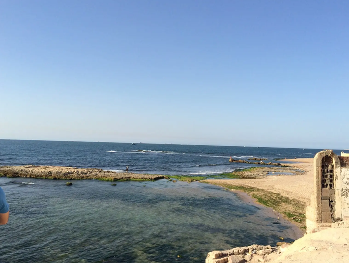 Ở đáy biển Vịnh Abu Qir, gần Alexandria, Ai Cập, các chuyên gia đến từ Bộ Du lịch và Cổ vật Ai Cập bất ngờ trục vớt nhiều vật thể lạ từ tàn tích của một thành phố chìm. Ảnh: @Bộ Du lịch và Cổ vật Ai Cập.