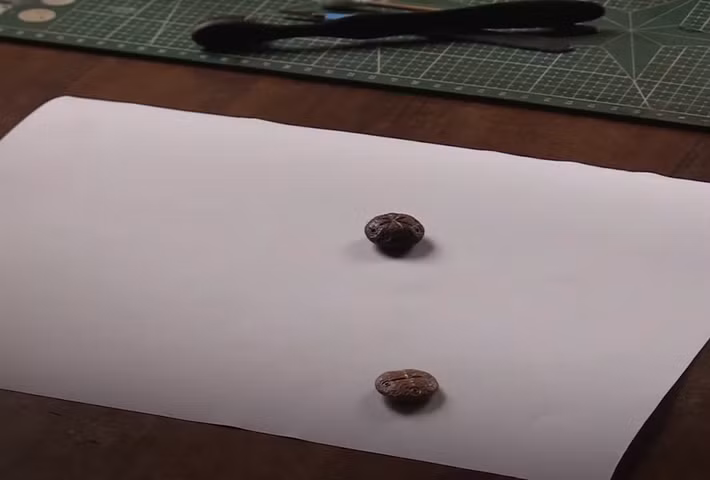 Ước tính, hai đồ vật bằng xương này có niên đại thuộc thế kỷ thứ 5 Sau Công Nguyên. Ảnh: @Đại học Karabük.