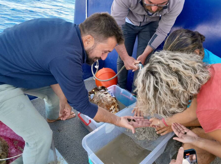 Họ đã rất ngạc nhiên khi tìm thấy cả hạt ô liu và dấu vết dầu ô liu bên trong các vật chứa này - những hiện vật chưa từng được tìm thấy ở vùng biển Thổ Nhĩ Kỳ trước đây. Ảnh: @Đại học Akdeniz.