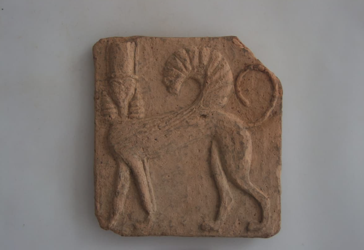 Khả năng cao chúng có thể liên quan đến các nghi lễ nhập môn dành cho các thiếu nữ. Có lẽ họ đã dâng những bức tượng nhỏ này cho một vị thần để cầu xin sự bảo vệ vào những thời điểm quan trọng trong cuộc đời, chẳng hạn như giai đoạn làm mẹ hoặc dậy thì. Ảnh: @Đại học Cincinnati.