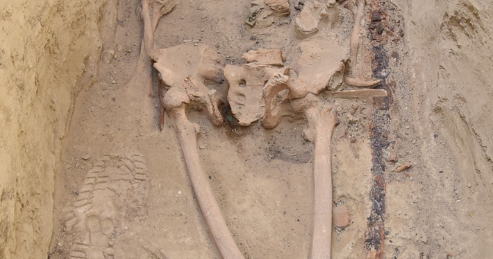 Nhưng khác với thông lệ, chỉ có hài cốt người mất bị nhắm đến, chứ không phải những đồ tùy táng quý giá được chôn cất theo. Ảnh: @Bảo tàng Szent István Király.