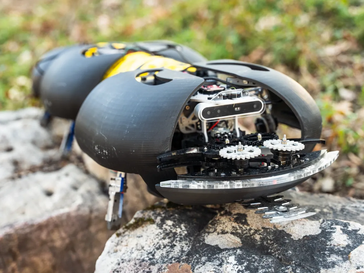 Được thiết kế đơn giản, con rết robot này bao gồm một đầu được trang bị các cảm biến điều hành, thăm dò, quan sát cực kỳ tân tiến. Ảnh: @Ground Control Robotics.