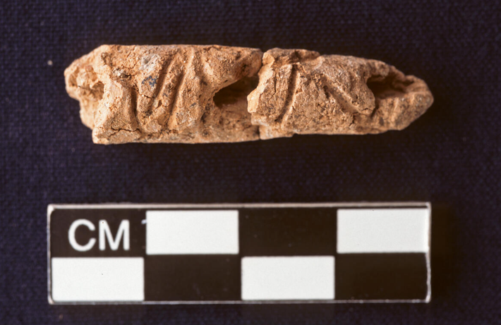 Các chuyên gia khảo cổ hiện tin rằng, những ký tự này có thể đại diện cho hệ thống chữ viết sớm nhất được biết đến - có niên đại khoảng năm 2.400 Trước Công Nguyên. Ảnh: @Elaine Sullivan.