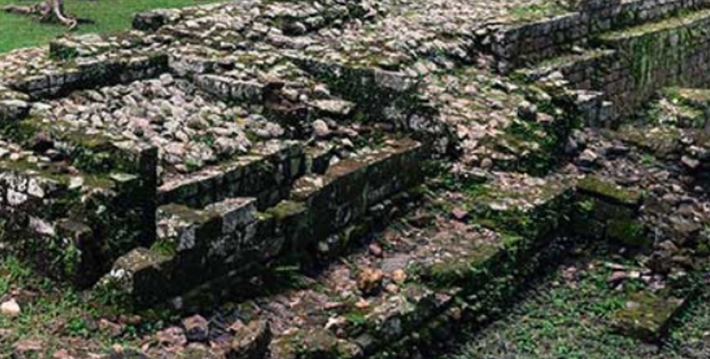 Cấu trúc này bao gồm các bức tường đá, cùng một hệ thống thoát nước phức tạp, những yếu tố cho thấy kiến ​​thức thủy lực người xưa đã rất tiên tiến và khéo léo. Ảnh: @Viện Di sản Đô thị Ecuador.