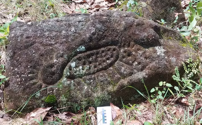 Các nhà nghiên cứu tin rằng, chúng có liên quan đến các nghi lễ thờ mặt trời và nước. Ảnh: @Viện Nhân chủng học và Lịch sử Quốc gia Mexico.