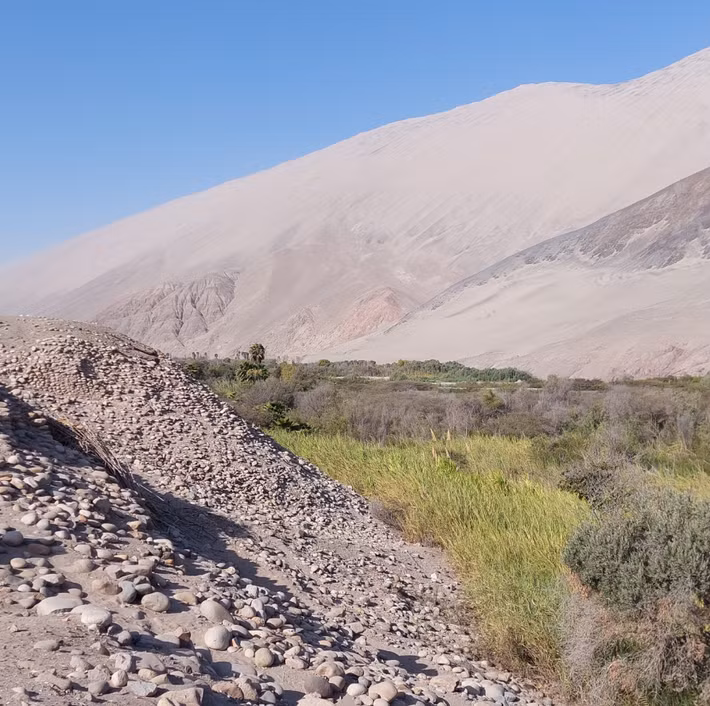Tại Tambo Viejo, các chuyên gia đến từ trường Đại học Calgary bất ngờ tìm thấy quần thể di tích cổ xưa kỳ lạ. Ảnh: @Đại học Calgary.