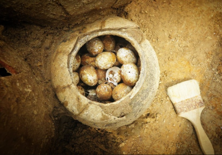Và chiếc lọ chứa trứng này sẽ được bảo quản trong tủ có nhiệt độ và độ ẩm ổn định để phục vụ cho việc nghiên cứu dài lâu trong tương lai. Ảnh: @Viện Khảo cổ học Bảo tàng Nam Kinh.