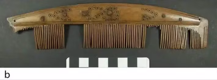 Như vậy, lược không chỉ là những vật dụng hàng ngày: chúng là thành quả hữu hình của một nền kinh tế liên kết chặt chẽ, vốn đã kết nối các thành phố thương mại vùng Baltic với vùng Bắc Cực từ thế kỷ thứ 9. Ảnh: @Mariana Muñoz-Rodriguez.