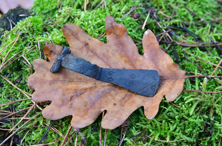 Nhưng các nhà khảo cổ học vẫn chưa loại trừ khả năng chúng vẫn có thể là một phần của hiện vật được tìm thấy trong hoạt động buôn bán giao thương luyện kim cổ xưa. Ảnh: @Cơ quan Bảo tồn Di tích Quốc gia Pomerania.