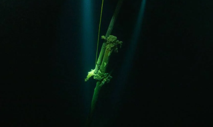 Cụ thể, ở độ sâu 112 mét dưới đáy hồ, nhóm chuyên gia tìm thấy xác một con tàu đắm bí ẩn phủ đầy trai. Điều kỳ lạ là xác tàu này được bảo quản rất tốt đến nỗi hai cột buồm vẫn còn đứng thẳng. Ảnh: @Hội đồng Khảo sát dưới nước Ontario.