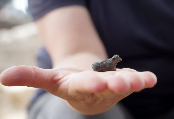 Cư dân của thành phố này kiếm sống bằng nghề nông và buôn bán giao thương với các khu vực lân cận khác. Ảnh: @Cơ Quan Cổ Vật Israel.