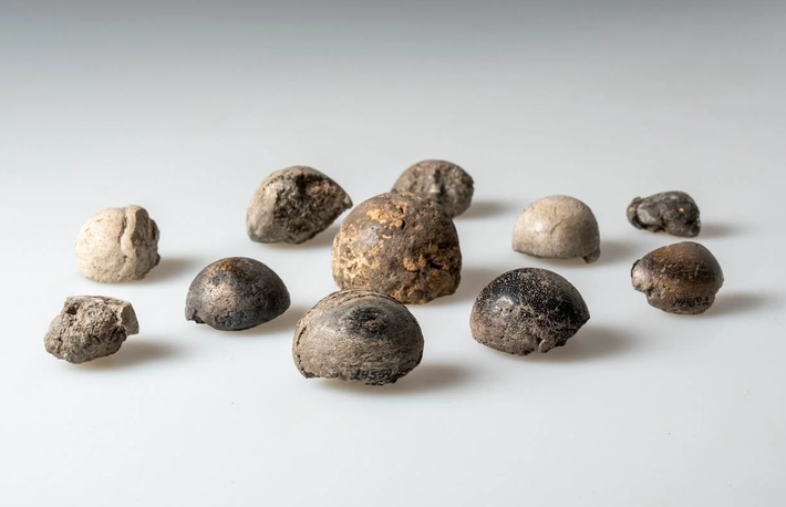 Ngoài ra, các nhà khảo cổ còn tìm thấy bằng chứng về cuộc sống nông trại của người Viking: nướng bánh mì, sản xuất sắt và làm nông. Ảnh: @Công Ty Tư Vấn Khảo Cổ Học Thụy Điển Arkeologerna.