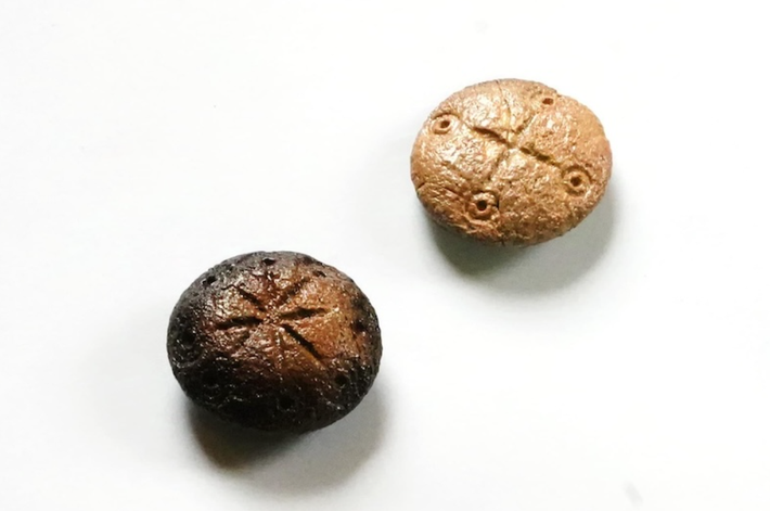 Các đồ vật này có dạng hình đĩa. Một viên có biểu tượng bốn nhánh, và viên còn lại có biểu tượng tám nhánh. Ảnh: @Đại học Karabük.