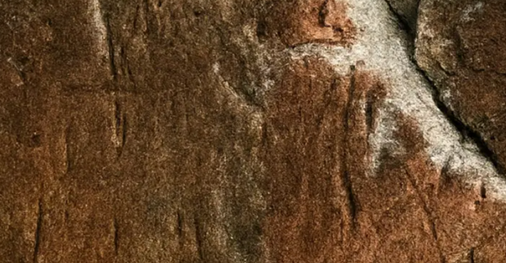 Bề mặt đá chủ yếu có màu nâu đỏ, xen kẽ với các mảng xám nhạt hơn do địa y và xói mòn gây ra. Ảnh: @Khu bảo tồn động vật hoang dã Phu Khat.