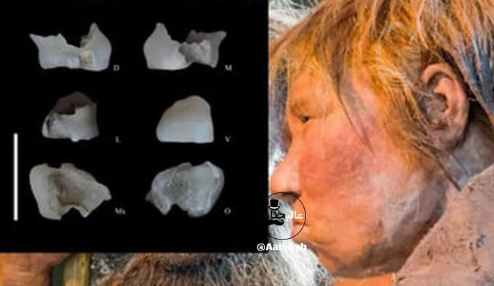 Các nhà khảo cổ cũng tìm thấy công cụ bằng đá và xương động vật trong cùng các lớp đất. Ảnh: @monaoryat9.