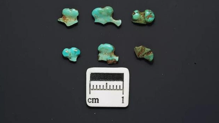 Dây cương ngựa bằng da và các vật dụng gia đình, xe ngựa cùng nhiều vũ khí cũng được tìm thấy trong lăng mộ quý tộc người Hung Nô này. Ảnh: @Tiến sĩ Lan Wanli.