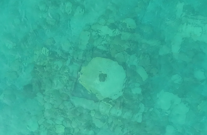 Valery Kolchenko, nhà nghiên cứu tại Viện Hàn lâm Khoa học Quốc gia Cộng hòa Kyrgyzstan và là người chủ trì cuộc thám hiểm này giải thích: "Địa điểm chúng tôi đang nghiên cứu là một thành phố hoặc là một trung tâm thương mại lớn trên một đoạn quan trọng của Con đường tơ lụa". Ảnh: @Viện Hàn lâm Khoa học Kyrgyzstan.