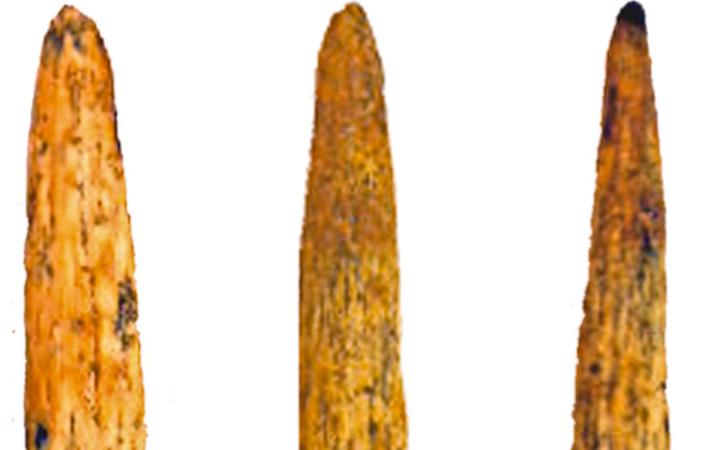 Đầu mũi giáo bằng xương này được xác định có niên đại khoảng 80.000 năm tuổi. Ảnh: @Liubov Golovanova.