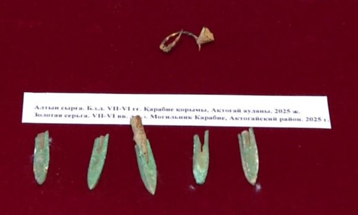 Điều này chứng tỏ trình độ chế tác kim loại và nghệ thuật điêu luyện của những người thợ thủ công Saka cổ xưa. Ảnh: @Bảo tàng Lịch sử Khu vực Karaganda.