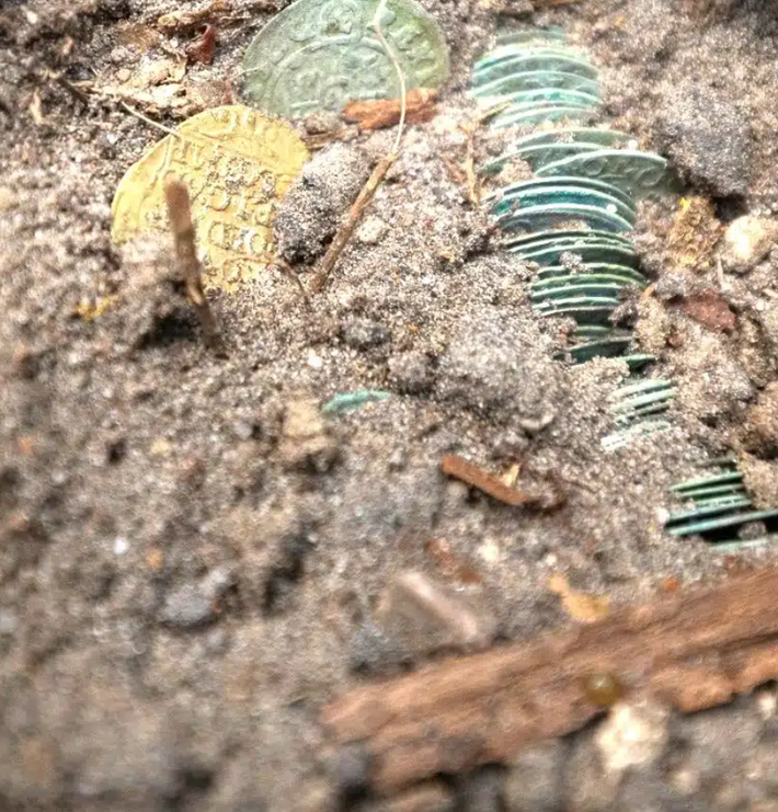 Giữa các lớp mùn và rễ cây, nhóm đã phát hiện ra một kho báu gồm 69 đồng xu, bao gồm 68 đồng tiền bạc và một đồng tiền vàng: riêng đồng tiền vàng này là một đồng ducat Hà Lan chính hiệu từ năm 1633. Ảnh: @Wielki Las.