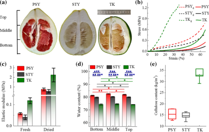 Mẫu thiết bị này gồm miếng sinh khối vỏ bưởi đã qua xử lý và một màng nhựa (polyimide), chúng được dùng làm hai lớp tạo điện ma sát tiếp xúc với nhau khi có lực bên ngoài. Ảnh: @link.springer.