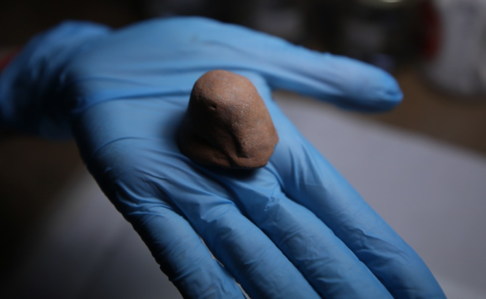 Tất nhiên, trong quá khứ, những người có tiền sẽ hiến tế và dâng những lễ vật có giá trị hơn. Ảnh: @Đại học Çanakkale.