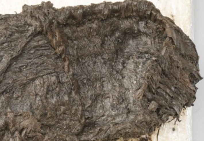 Các chuyên gia tin rằng, chiếc giày thuộc về nền văn hóa Horgen, một nền văn hóa cổ đã được xác định trước đó trong khu vực này. Ảnh: @hãng tin SDA-ATS.