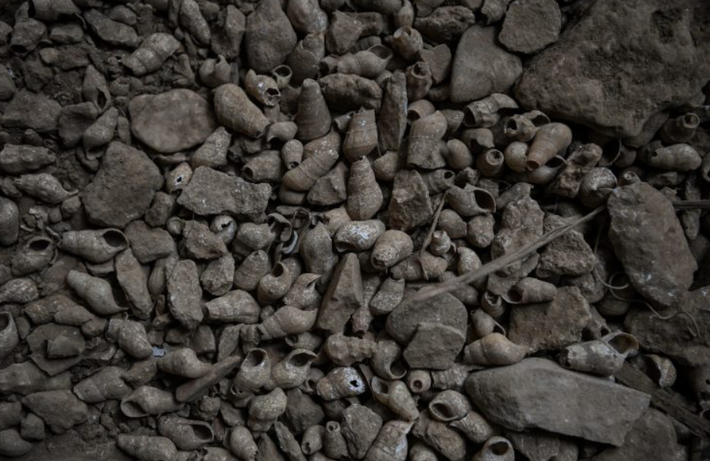 Việc phát hiện ra vỏ ốc đá sông được coi là quan trọng nhất, vì nó là bằng chứng về tập quán ăn uống của người tiền sử ở đó. Ảnh: @Đại học Quốc gia Malaysia.