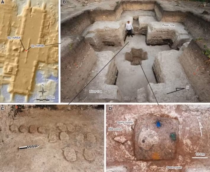 Tại Aguada Fénix, một địa điểm cổ đại ở Đông Nam Mexico, mạng lưới khổng lồ gồm các kênh đào, hành lang và nền móng dường như tạo thành một bản đồ vũ trụ. Ảnh: @Đại học Arizona.