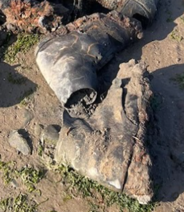 Theo tuyên bố của tổ chức Beach Academy, những đôi giày này giống với kiểu dáng cổ điển hơn là thiết kế hiện đại. Chủ yếu là giày dành cho nam giới trưởng thành và trẻ em. Ảnh: @Beach Academy.