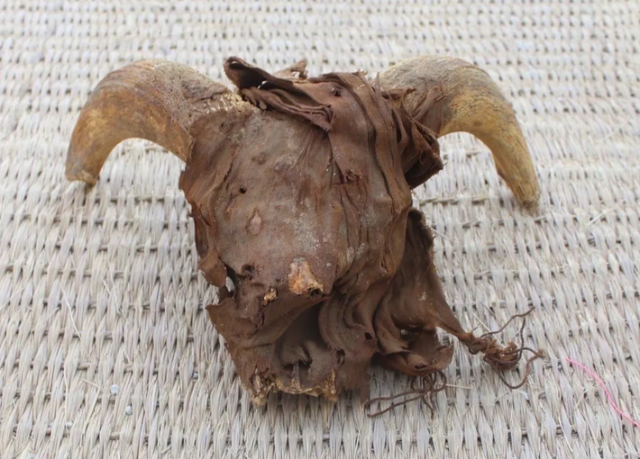 Một là chúng được dùng làm vật hiến tế trong các nghi lễ tâm linh Ai Cập cổ xưa mang tính cộng đồng. Ảnh: @Bộ Du Lịch Và Di Tích Lịch Sử Ai Cập.