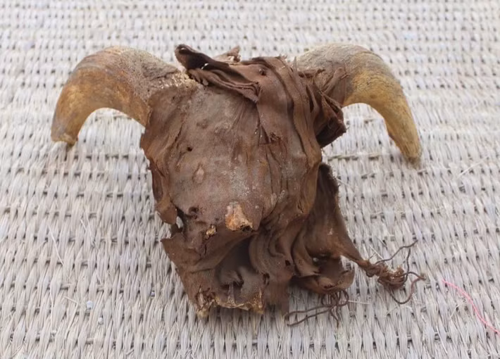 Một là chúng được dùng làm vật hiến tế trong các nghi lễ tâm linh Ai Cập cổ xưa mang tính cộng đồng. Ảnh: @Bộ Du Lịch Và Di Tích Lịch Sử Ai Cập.