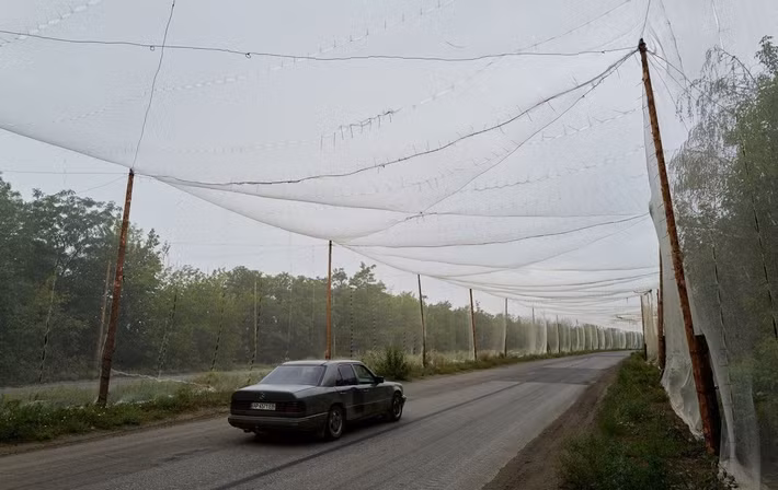 Làn sóng chỉ trích càng gia tăng, khi vào giữa tháng 12 xuất hiện thông tin cho thấy công ty Avtostrada, được trao hợp đồng trị giá 693 triệu hryvnia để lắp đặt lưới chống UAV tại vùng Kharkiv, mà không qua đấu thầu cạnh tranh. Lý do được đưa ra là tình trạng khẩn cấp và yêu cầu thi công trong khu vực tiền tuyến.