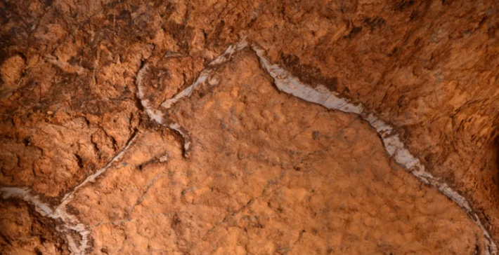 Bức tranh lợn rừng này mang những đặc điểm riêng biệt của nghệ thuật hang động, nó có thể cung cấp những manh mối quan trọng để làm sáng tỏ quá trình tiến hóa của các kỹ năng thể hiện nghệ thuật mang tính biểu tượng của con người thuộc Thời Kỳ Đồ Đá Cũ. Ảnh: @Viện Nghiên Cứu Khảo Cổ Tây Ban Nha.